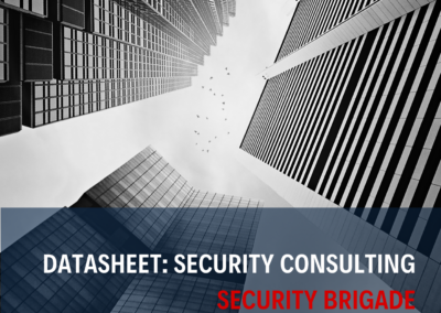 Datasheet - Security Audit Services