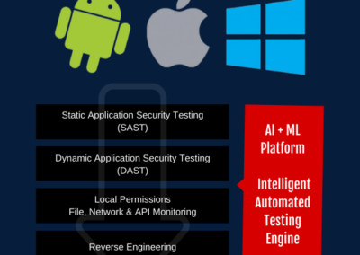 Mobile Application Security Testing